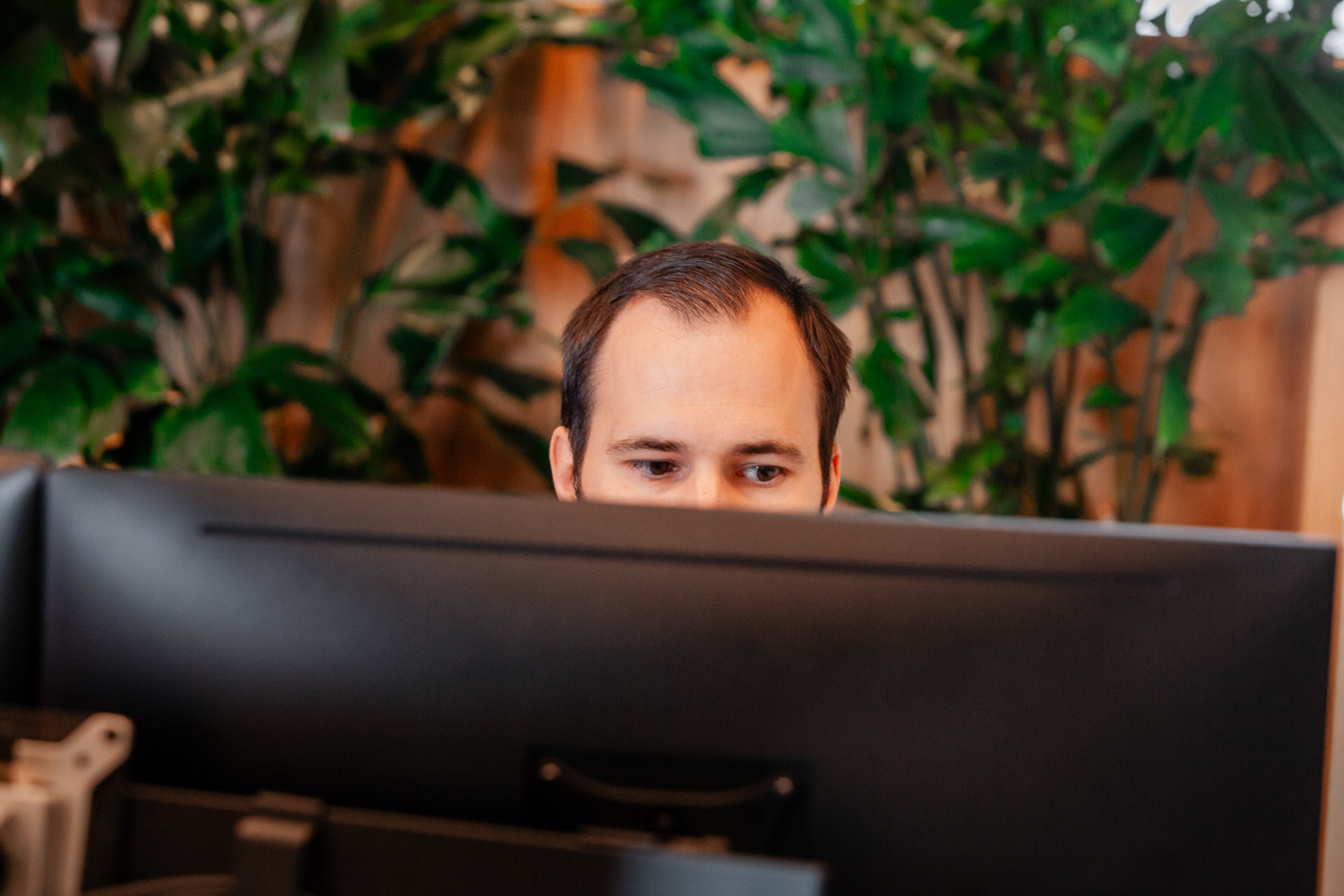 thumbnail voor Kennis en inzichten