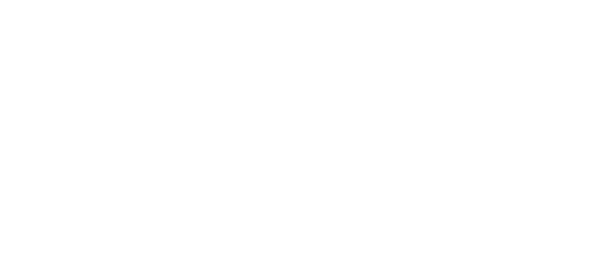 logo voor SEP