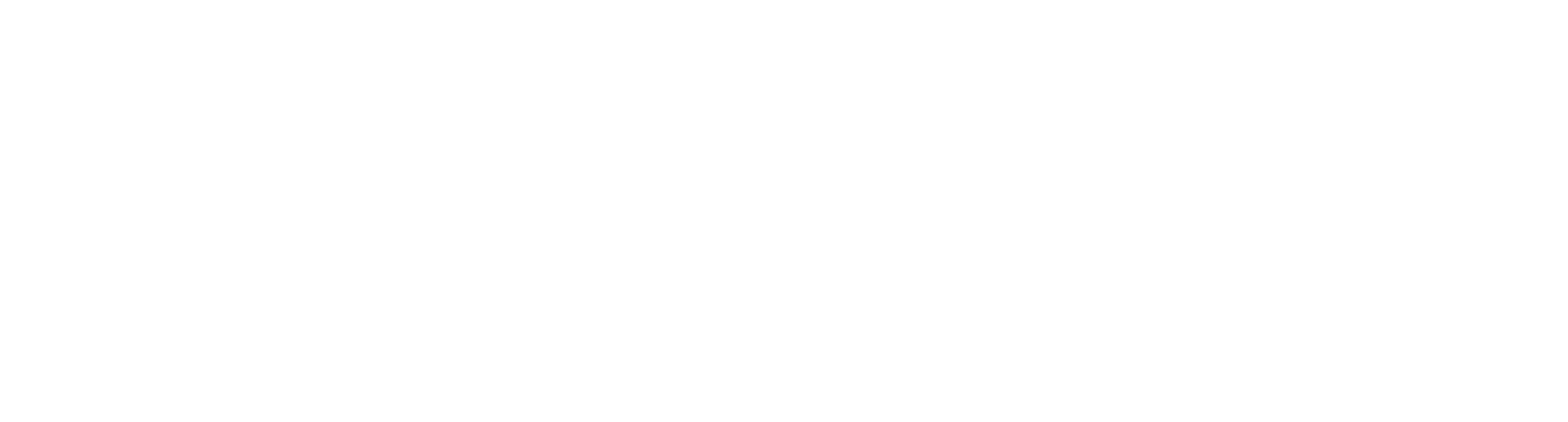 logo voor Accessible minds